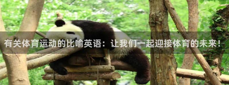 btv体育足球100分回放：有关体育运动的比喻英语：让我们一起迎接体育的未来！