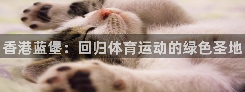 btv体育频道直播入口：香港蓝堡：回归体育运动的绿色圣地