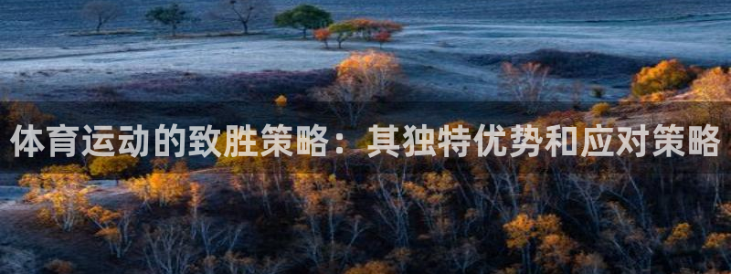 BTV体育台节目预告：体育运动的致胜策略：其独特优势和应对策略