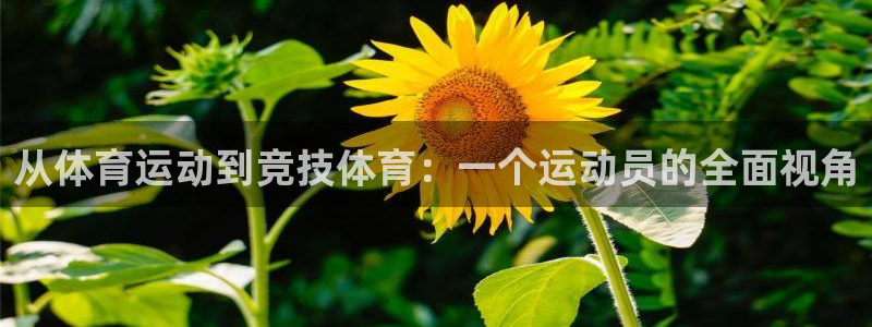 btv体育休闲频道直播欢乐二打一：从体育运动到竞技体育：一个运动员的全面视角