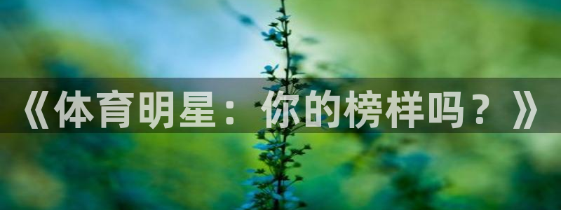 BTV体育CBA直播：《体育明星：你的榜样吗？》