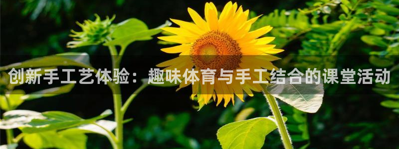 btv体育魏翔东：创新手工艺体验：趣味体育与手工结合的课堂活动