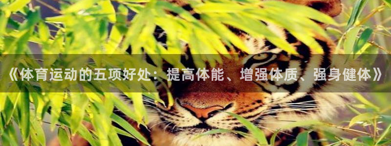 btv体育频道广告：《体育运动的五项好处：提高体能、增强体质、强身健体》