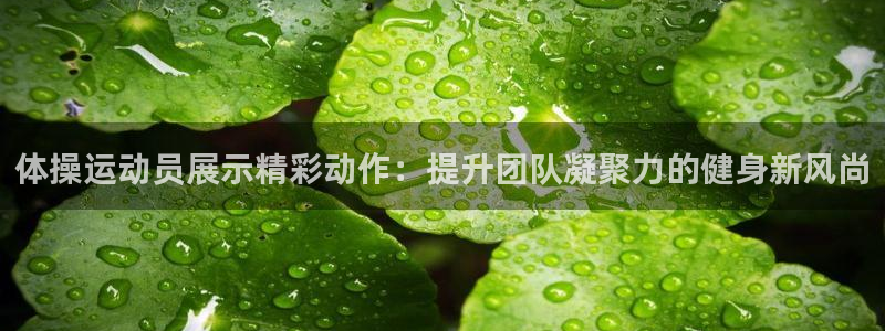 BTV体育欢乐二打一：体操运动员展示精彩动作：提升团队凝聚力的健身新风尚
